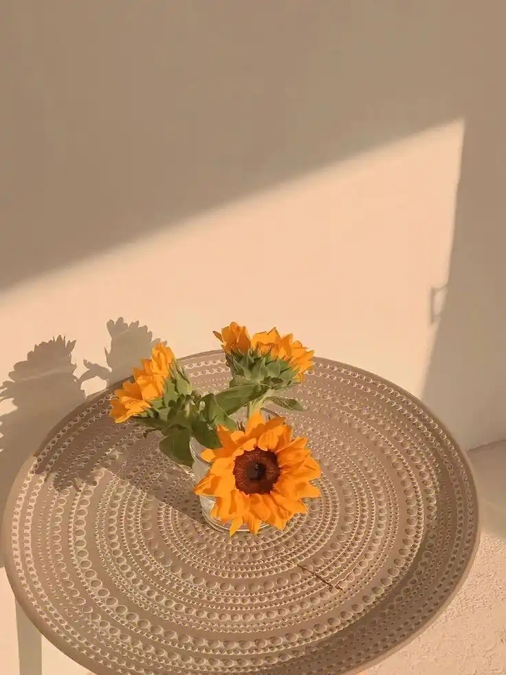 @zzcseo+2025最新蜘蛛池_操作流程深度优化_稳定版V22.62.20pc版N55.27.69下载